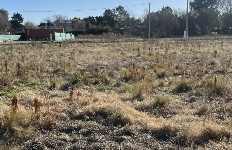 Captura-de-pantalla-2025-09-01-a-las-9.27.28-p.-m.-min-1