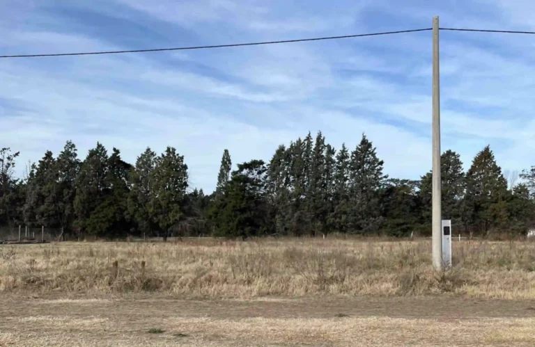 Captura-de-pantalla-2025-09-01-a-las-9.27.28-p.-m.-min-2