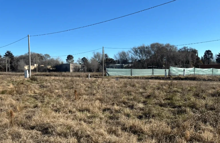 Captura-de-pantalla-2025-09-01-a-las-9.27.28-p.-m.-min